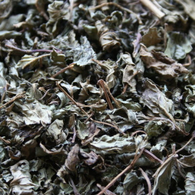 Menthe poivrée