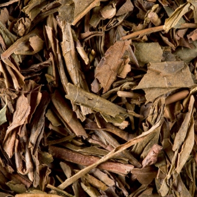 Bancha Houjicha Sup
